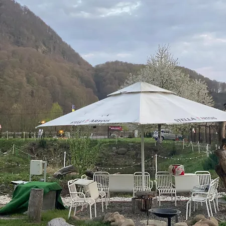 Green Camping * Galaoaia